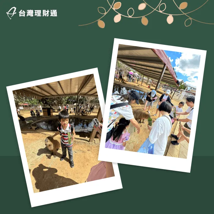 牧場體驗-2024 team building